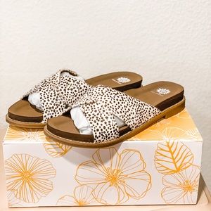 YELLOWBOX Kassie Cheetah